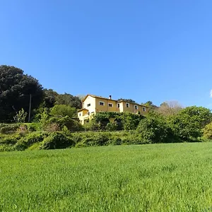Mas Pitre Besalú